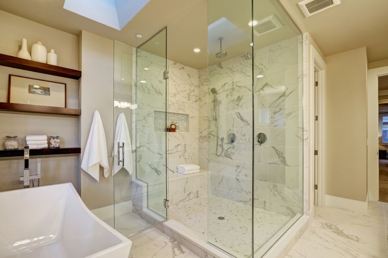 Elegant Bathroom Shower Setup